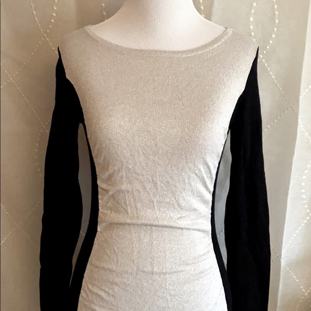 Express Silver and black dress